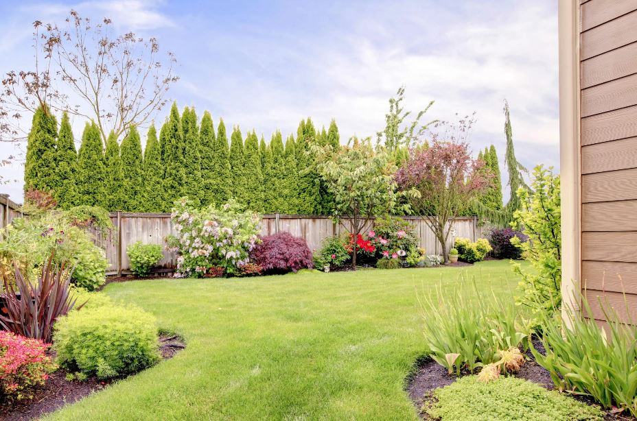 ANKARA PEYZAJ FİRMALARI